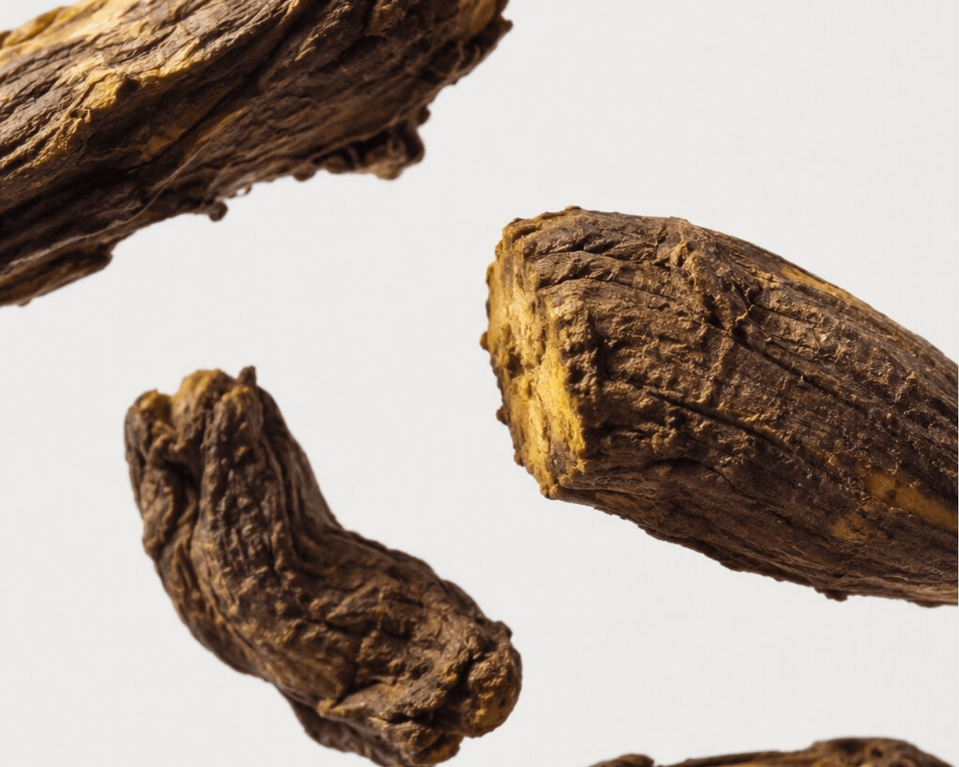 Berberis aristata root and berberine extract
